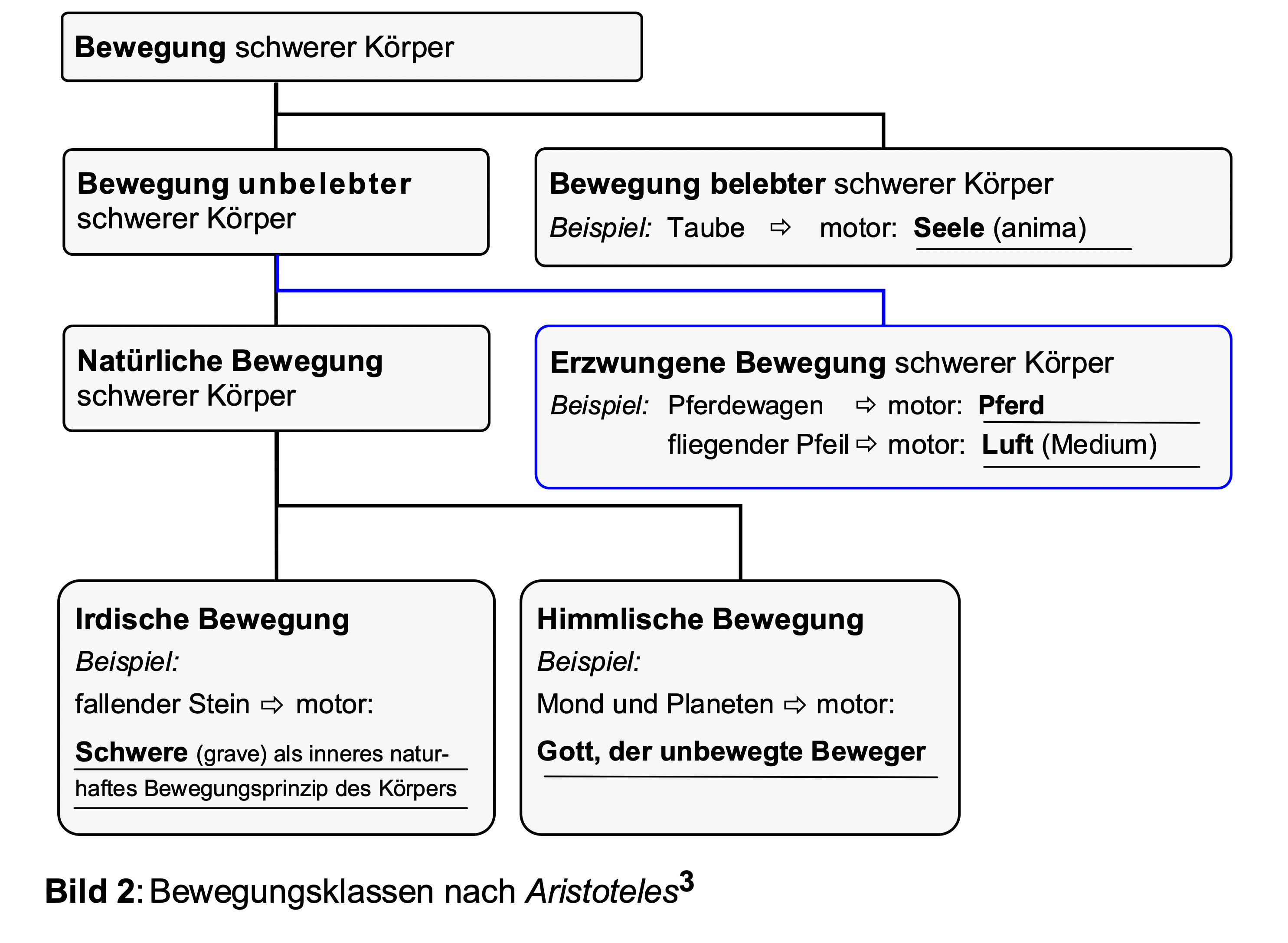 Aristoteles der Verrückte